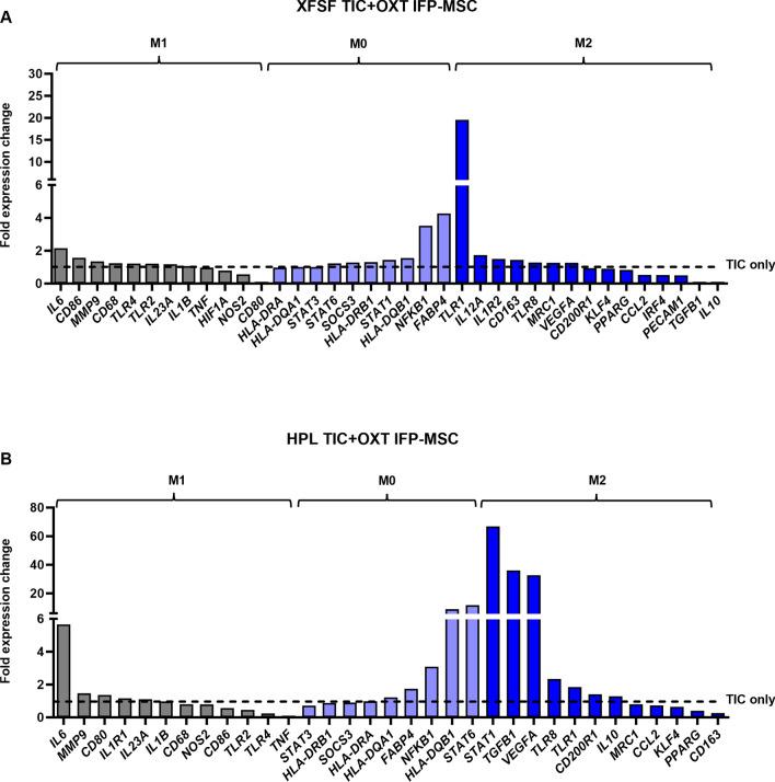 https://cdn.ncbi.nlm.nih.gov/pmc/blobs/674e/11603324/a39357123abb/41598_2024_80050_Fig7_HTML.jpg
