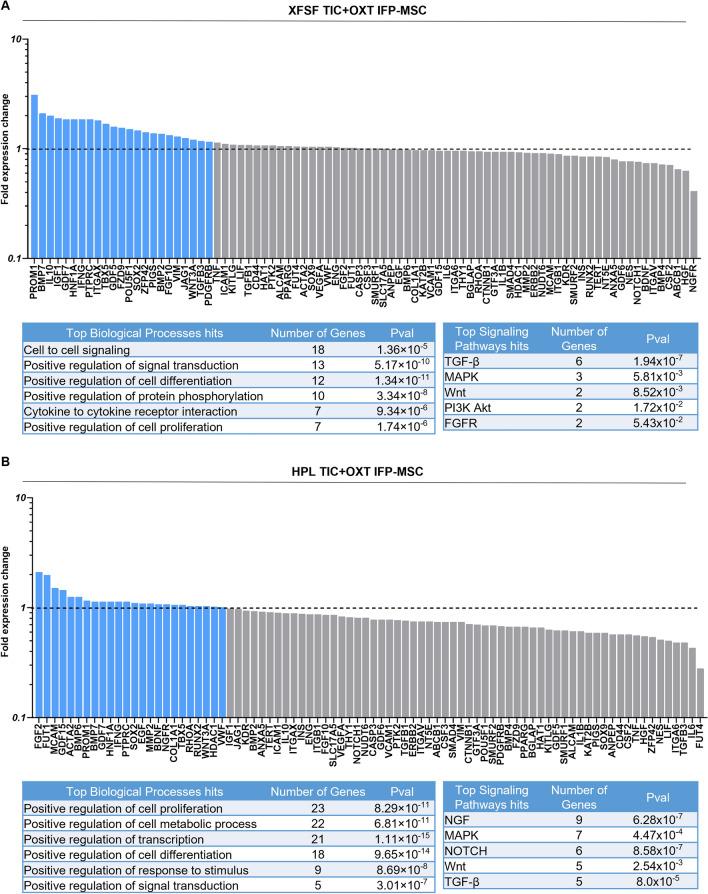 https://cdn.ncbi.nlm.nih.gov/pmc/blobs/674e/11603324/cbbc072e96d1/41598_2024_80050_Fig6_HTML.jpg