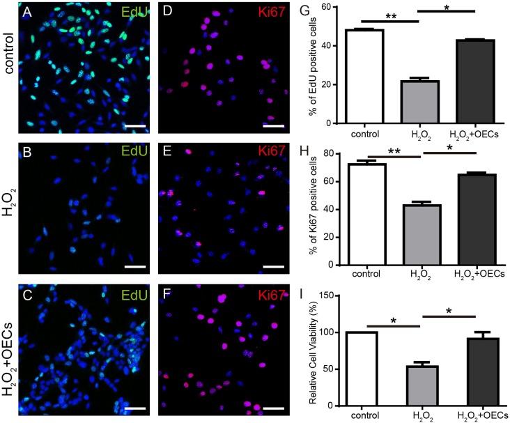 https://cdn.ncbi.nlm.nih.gov/pmc/blobs/674e/5696246/3cd90ad64858/oncotarget-08-93087-g005.jpg