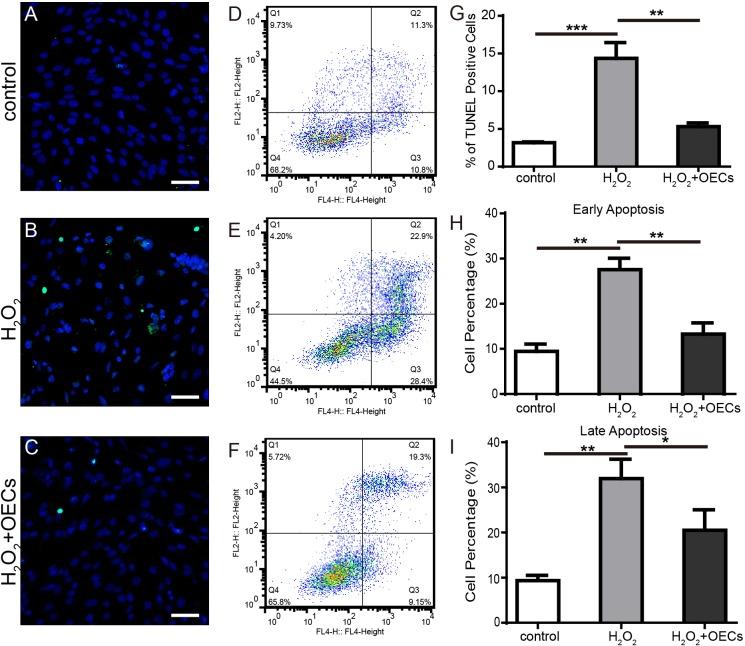 https://cdn.ncbi.nlm.nih.gov/pmc/blobs/674e/5696246/e37900b4a332/oncotarget-08-93087-g006.jpg