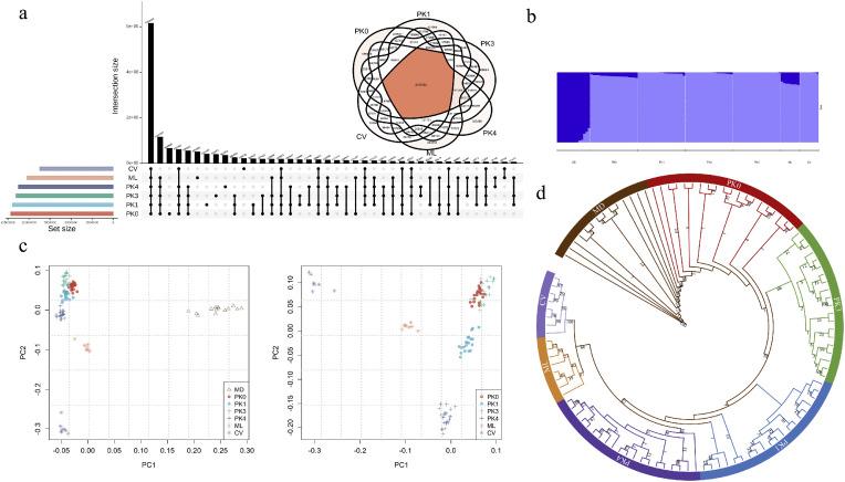 https://cdn.ncbi.nlm.nih.gov/pmc/blobs/6750/11783388/c0c8bdb627e2/gr1.jpg