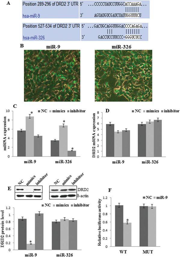 https://cdn.ncbi.nlm.nih.gov/pmc/blobs/6751/4571637/54c960cfe1ce/ijnppy_pyv025_f0004.jpg