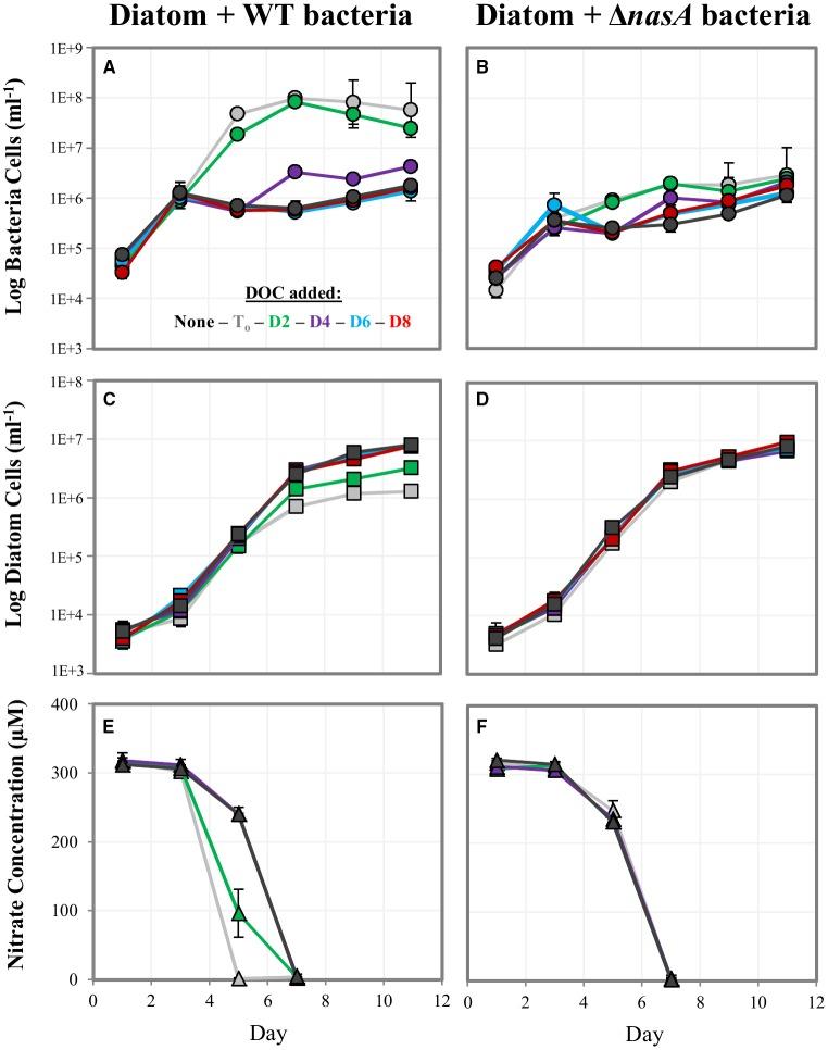 https://cdn.ncbi.nlm.nih.gov/pmc/blobs/6755/4899447/ad41c4b33f11/fmicb-07-00880-g0003.jpg