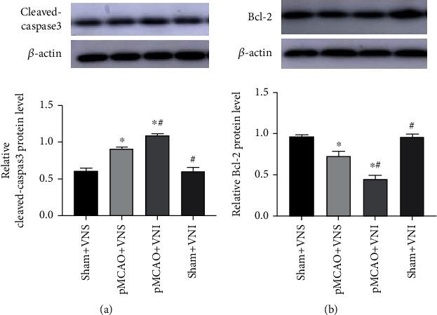 https://cdn.ncbi.nlm.nih.gov/pmc/blobs/6755/8983242/960587f0a56f/OMCL2022-8131391.004.jpg