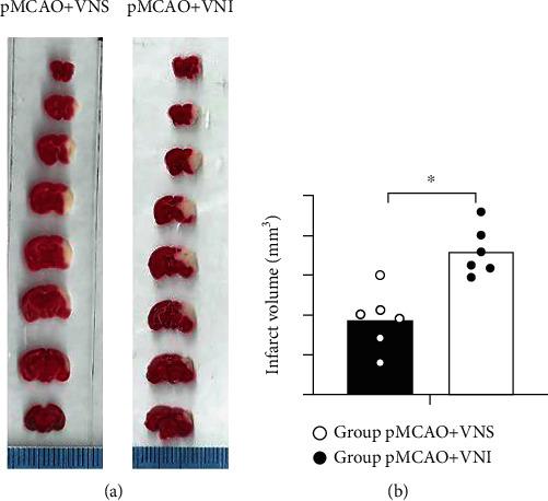 https://cdn.ncbi.nlm.nih.gov/pmc/blobs/6755/8983242/cd7e8be379e4/OMCL2022-8131391.002.jpg