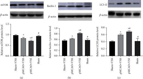 https://cdn.ncbi.nlm.nih.gov/pmc/blobs/6755/8983242/ed8b0dcbb188/OMCL2022-8131391.005.jpg