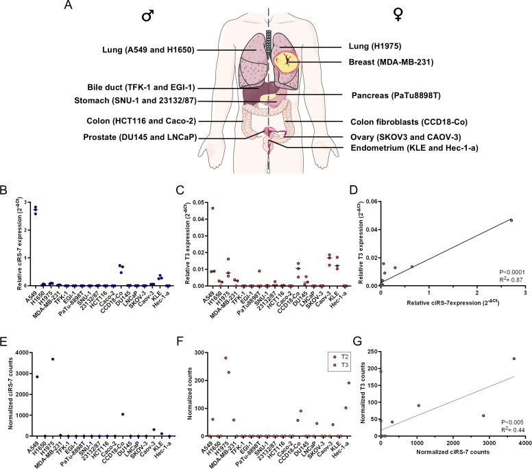 https://cdn.ncbi.nlm.nih.gov/pmc/blobs/6757/12162099/7dc0b6323e08/pgen.1011726.g002.jpg
