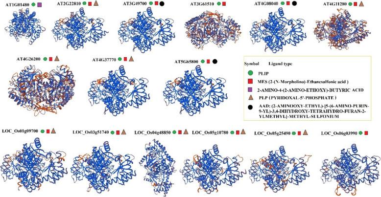 https://cdn.ncbi.nlm.nih.gov/pmc/blobs/6757/7572930/9d40308afa2f/43141_2020_83_Fig4_HTML.jpg
