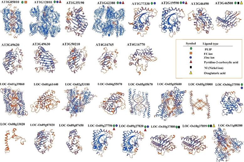 https://cdn.ncbi.nlm.nih.gov/pmc/blobs/6757/7572930/cd0837b85791/43141_2020_83_Fig5_HTML.jpg