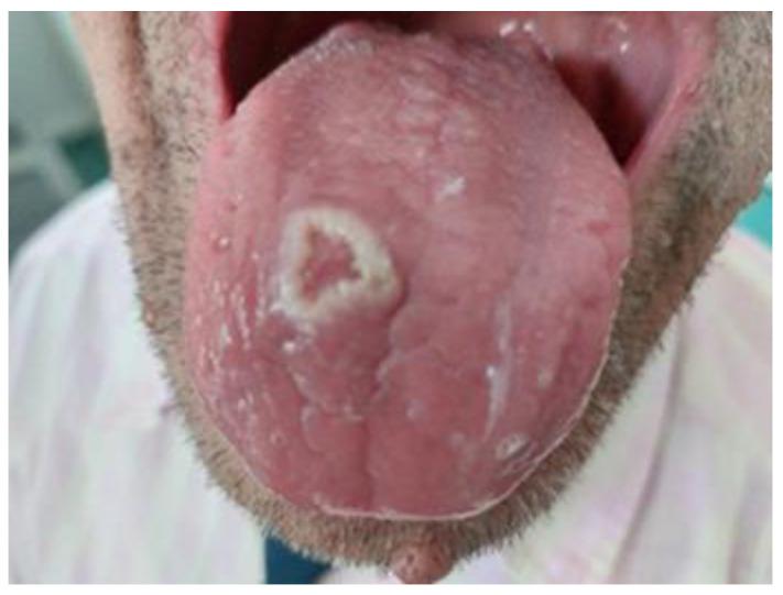 https://cdn.ncbi.nlm.nih.gov/pmc/blobs/6758/10147043/760b0c2a16b3/life-13-00901-g001.jpg