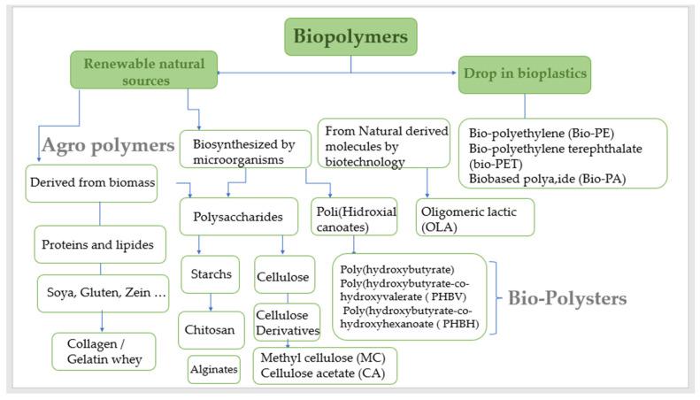https://cdn.ncbi.nlm.nih.gov/pmc/blobs/6758/10816883/4760b75e5a89/ijms-25-01322-g001.jpg
