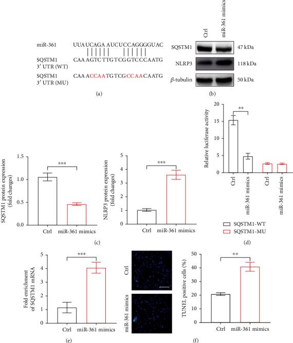 https://cdn.ncbi.nlm.nih.gov/pmc/blobs/6759/9519314/5e4be05b4850/MI2022-5463505.006.jpg