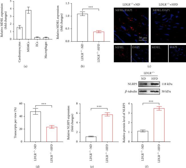 https://cdn.ncbi.nlm.nih.gov/pmc/blobs/6759/9519314/fb64ea317d06/MI2022-5463505.001.jpg