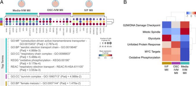 https://cdn.ncbi.nlm.nih.gov/pmc/blobs/675a/11339229/9e04c327c3d2/10815_2024_3143_Fig4_HTML.jpg