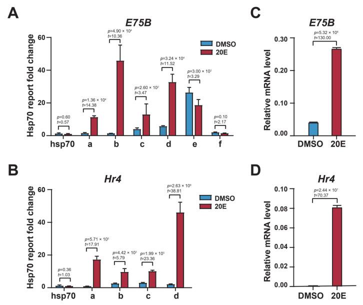 https://cdn.ncbi.nlm.nih.gov/pmc/blobs/675a/9502983/ac9f83ca9252/ijms-23-10791-g002.jpg