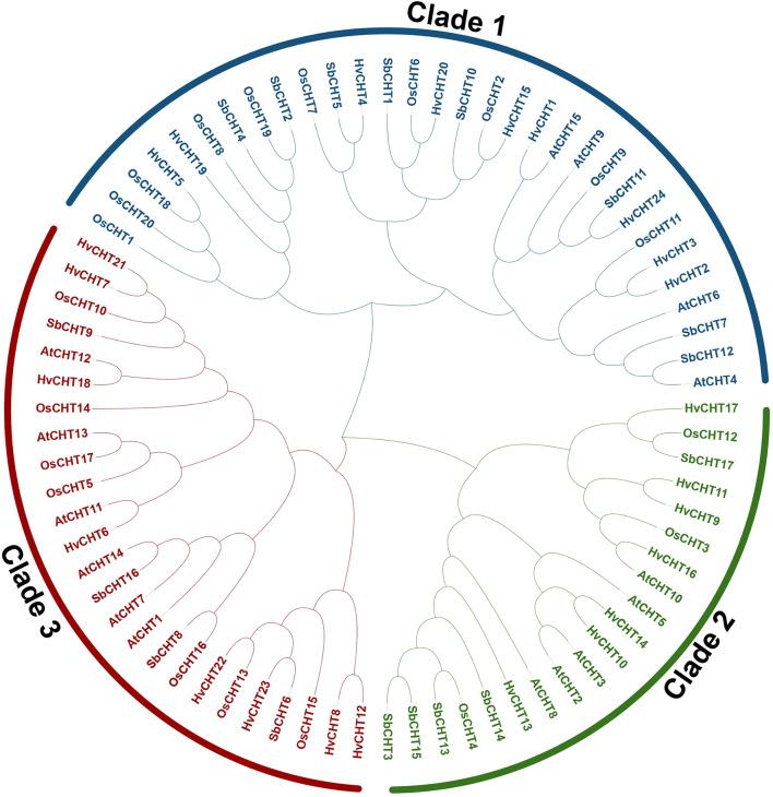 https://cdn.ncbi.nlm.nih.gov/pmc/blobs/675b/12070782/c30719f1c707/12870_2025_6475_Fig1_HTML.jpg