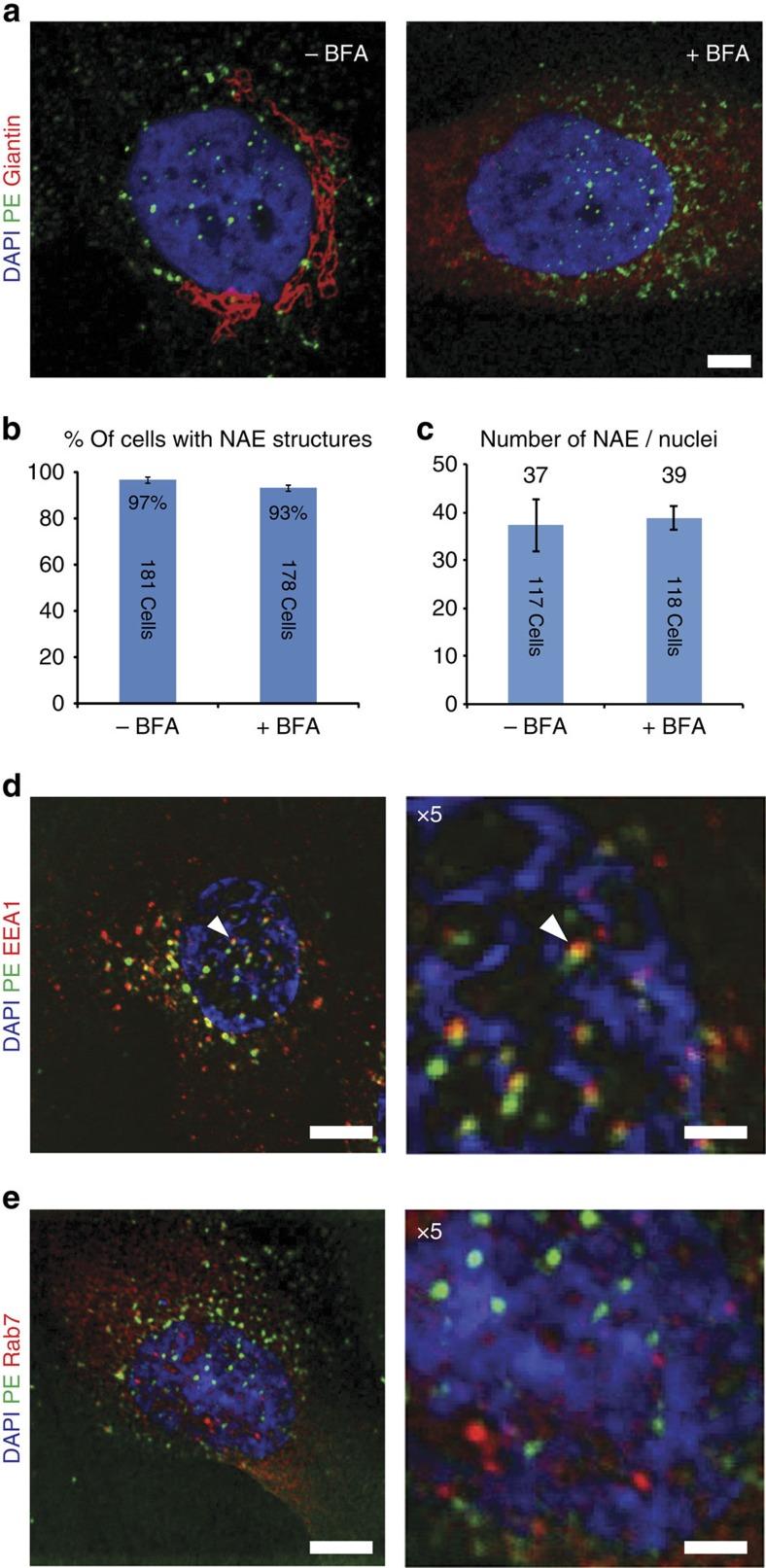 https://cdn.ncbi.nlm.nih.gov/pmc/blobs/675c/4579783/6a4e4663d113/ncomms9218-f2.jpg