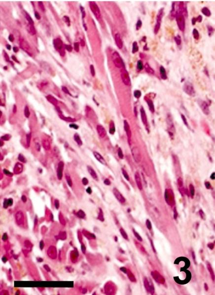 https://cdn.ncbi.nlm.nih.gov/pmc/blobs/675d/3234595/a2787d93f7ec/tox-24-179-g003.jpg