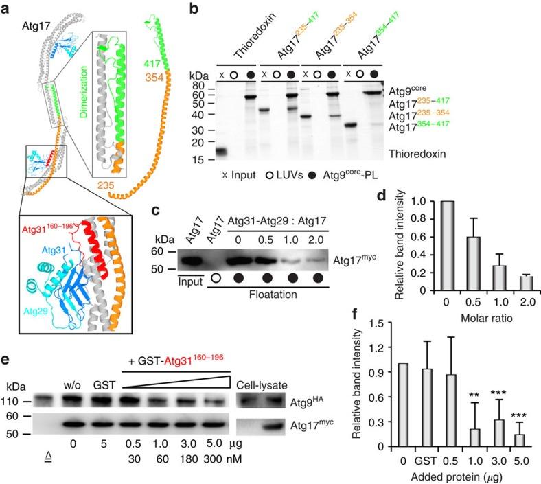 https://cdn.ncbi.nlm.nih.gov/pmc/blobs/6760/4729957/8fefb221214e/ncomms10338-f3.jpg