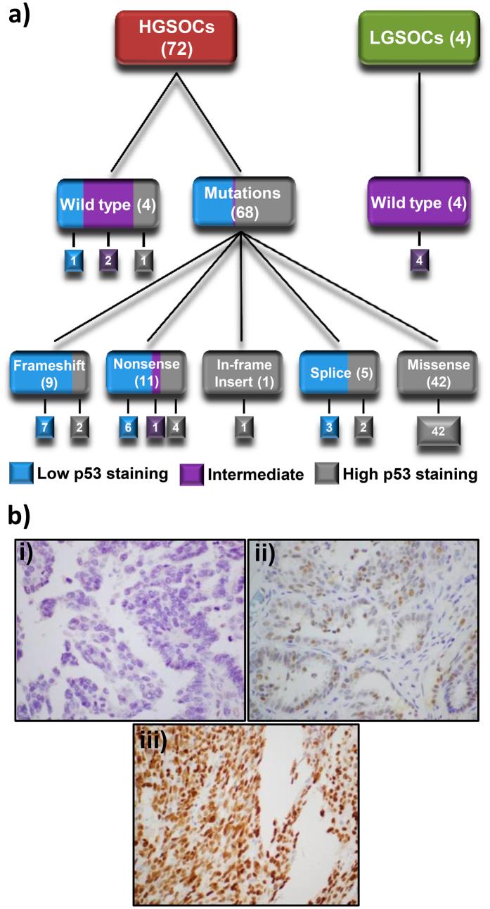 https://cdn.ncbi.nlm.nih.gov/pmc/blobs/6760/4870633/dcf788370b53/srep26191-f4.jpg