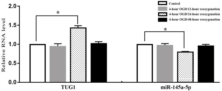 https://cdn.ncbi.nlm.nih.gov/pmc/blobs/6762/6748346/ab3e59f1ee35/fnmol-12-00215-g0001.jpg