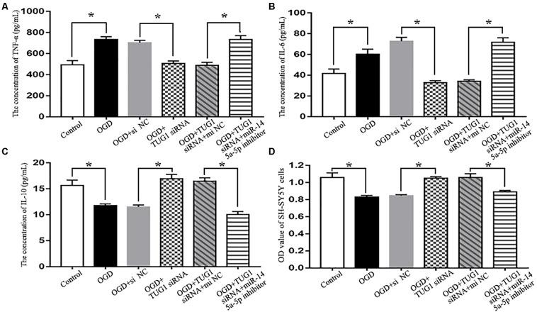 https://cdn.ncbi.nlm.nih.gov/pmc/blobs/6762/6748346/d5826d176f5a/fnmol-12-00215-g0004.jpg