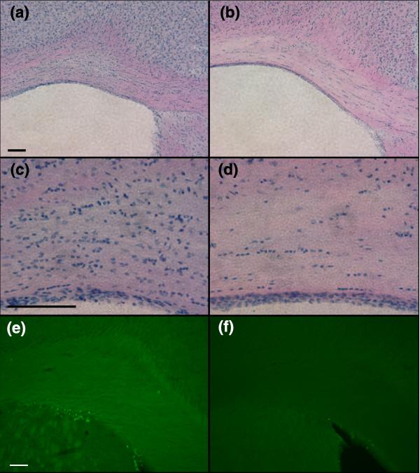 https://cdn.ncbi.nlm.nih.gov/pmc/blobs/6764/2397490/7a5fbdab9690/jbiol69-10.jpg