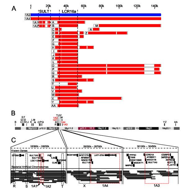 https://cdn.ncbi.nlm.nih.gov/pmc/blobs/6765/555591/e15cb11fa717/1471-2148-5-22-1.jpg