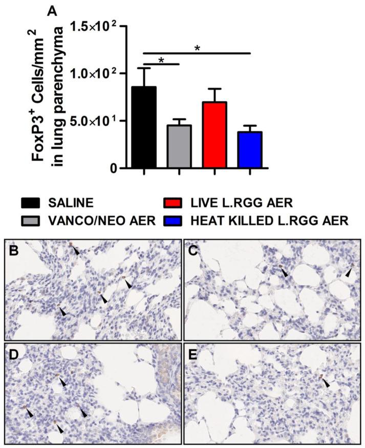 https://cdn.ncbi.nlm.nih.gov/pmc/blobs/6765/9656640/c86ea75b977c/ijms-23-12748-g002.jpg