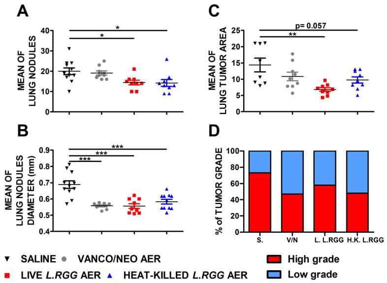 https://cdn.ncbi.nlm.nih.gov/pmc/blobs/6765/9656640/dfde35fc983f/ijms-23-12748-g001.jpg