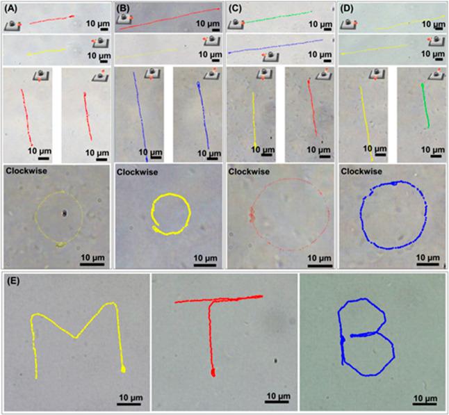 https://cdn.ncbi.nlm.nih.gov/pmc/blobs/6768/10016748/e8c785413082/am2c16592_0003.jpg