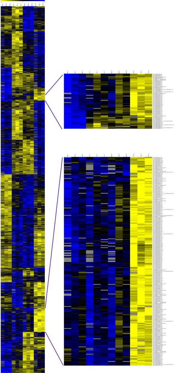 https://cdn.ncbi.nlm.nih.gov/pmc/blobs/6768/2907688/a83c1529d2db/1471-2164-10-370-1.jpg