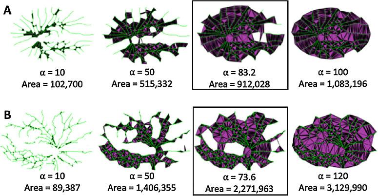 https://cdn.ncbi.nlm.nih.gov/pmc/blobs/6769/10795547/52c7da8eb884/tvst-13-1-15-f002.jpg