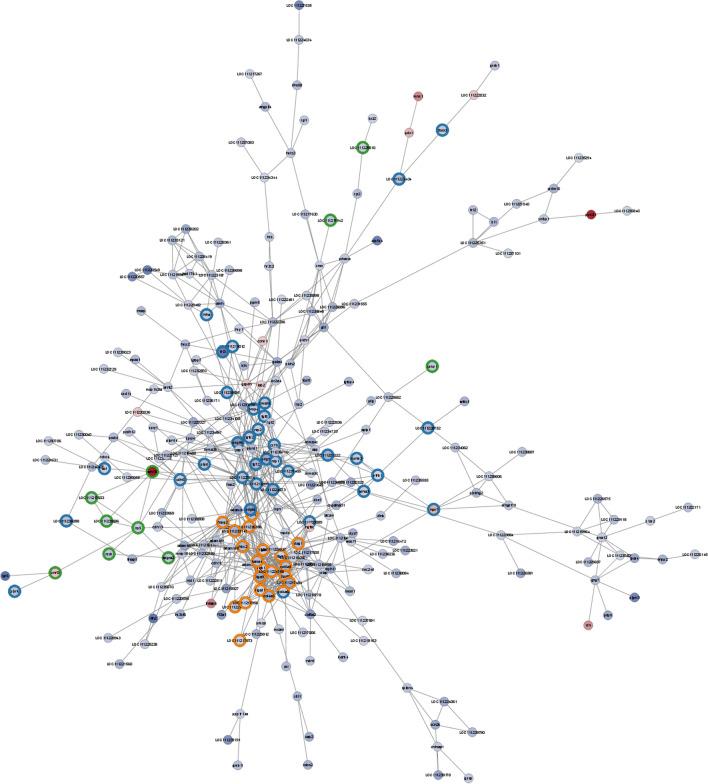https://cdn.ncbi.nlm.nih.gov/pmc/blobs/6769/11298523/06d648881798/41598_2024_69091_Fig5_HTML.jpg
