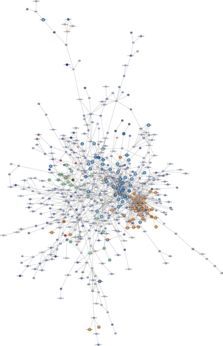 https://cdn.ncbi.nlm.nih.gov/pmc/blobs/6769/11298523/86607d37628b/41598_2024_69091_Fig6_HTML.jpg