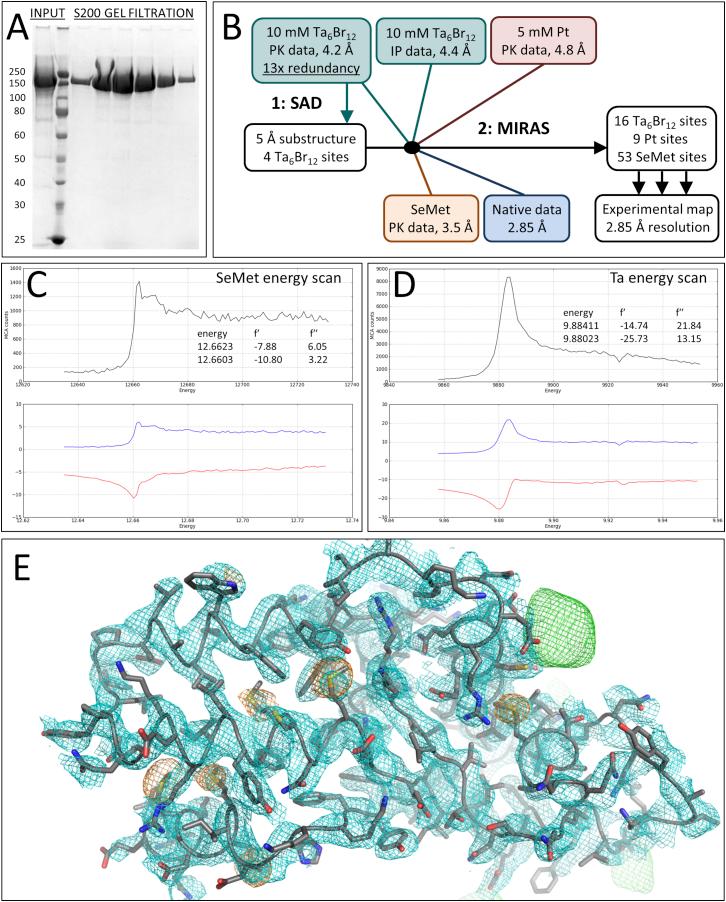 https://cdn.ncbi.nlm.nih.gov/pmc/blobs/676b/4459711/0e5343fd097d/figs1.jpg