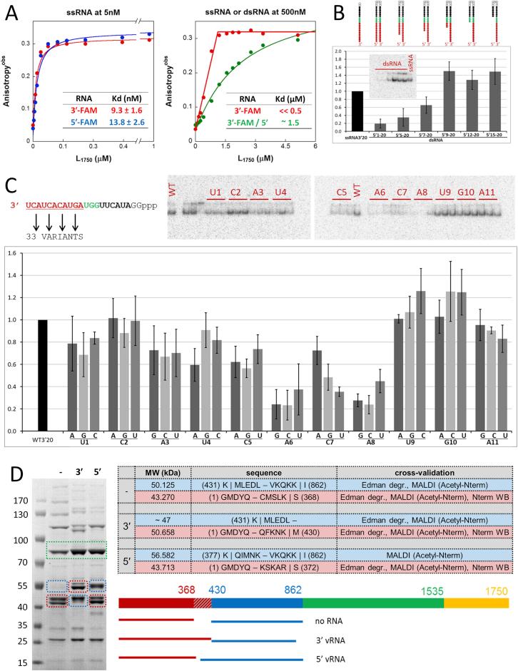 https://cdn.ncbi.nlm.nih.gov/pmc/blobs/676b/4459711/42eca068e5f6/figs3.jpg