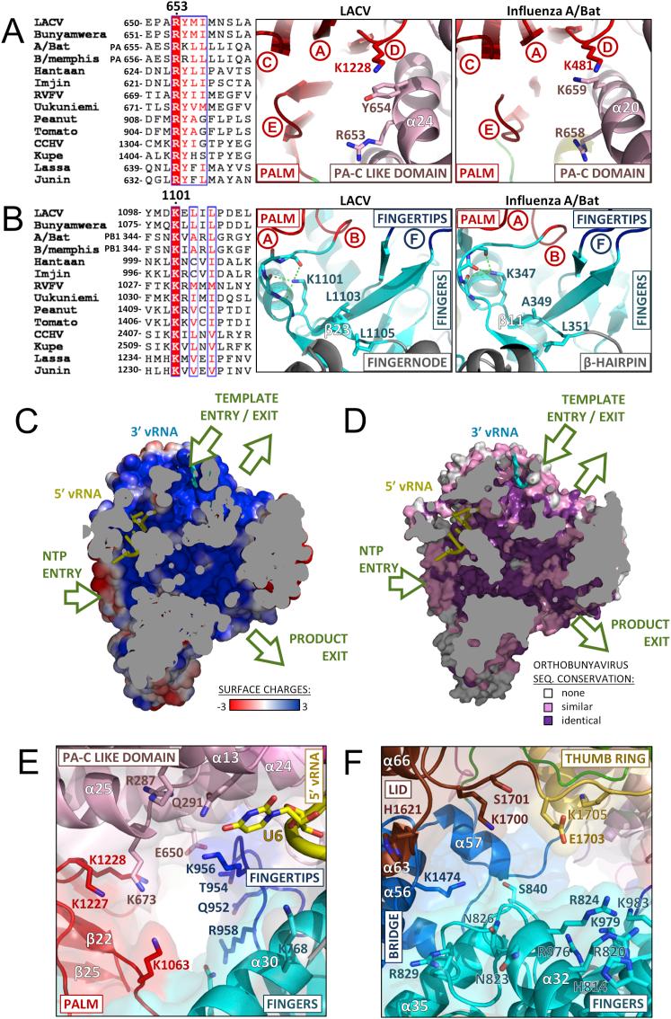 https://cdn.ncbi.nlm.nih.gov/pmc/blobs/676b/4459711/5c58faaa0648/figs7.jpg