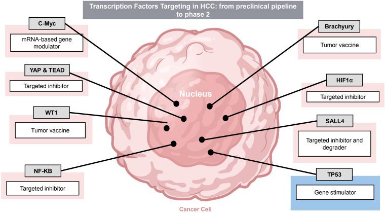 https://cdn.ncbi.nlm.nih.gov/pmc/blobs/6773/10762788/3b20104936a5/fimmu-14-1285370-g003.jpg