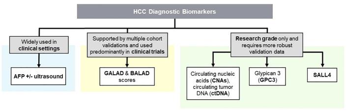 https://cdn.ncbi.nlm.nih.gov/pmc/blobs/6773/10762788/c70a5992816a/fimmu-14-1285370-g001.jpg