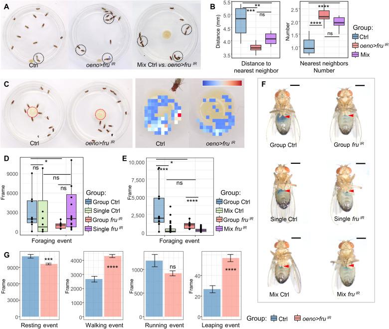 https://cdn.ncbi.nlm.nih.gov/pmc/blobs/6775/10313179/24d54c227f14/sciadv.adf6254-f2.jpg