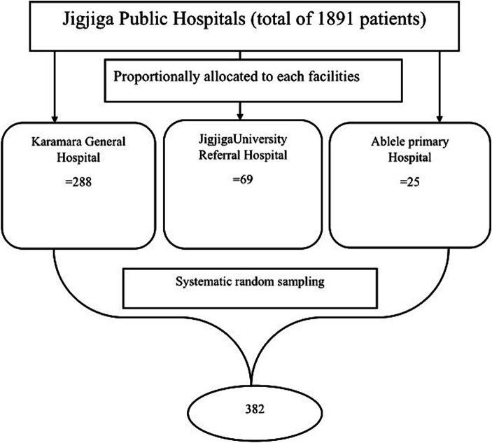 https://cdn.ncbi.nlm.nih.gov/pmc/blobs/6775/11156993/4b9bb4d18752/fpubh-12-1363903-g001.jpg