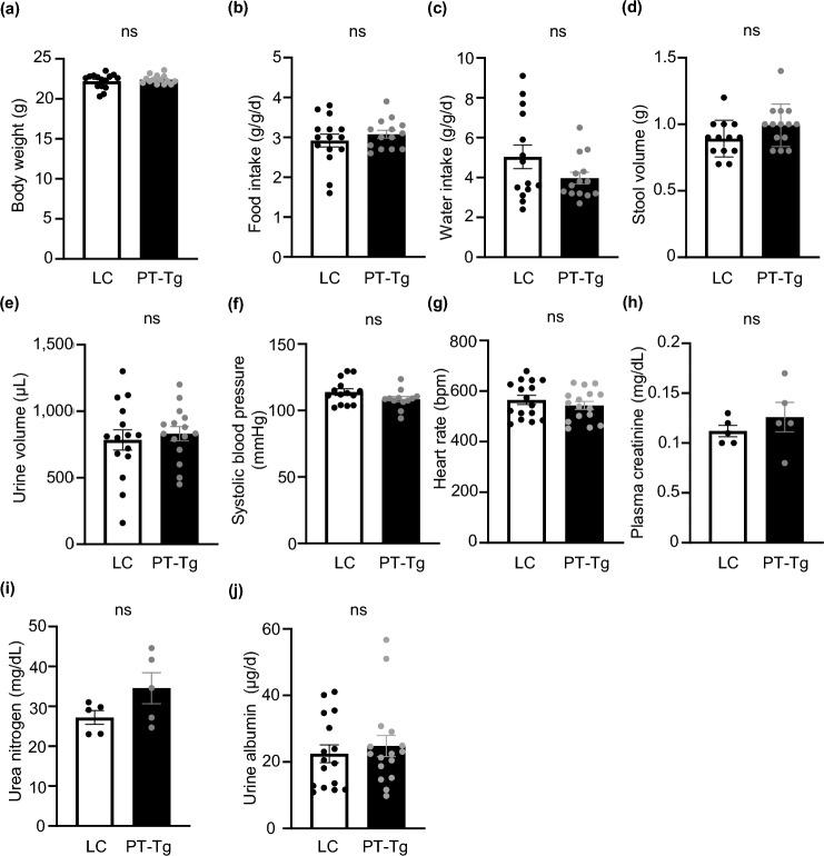 https://cdn.ncbi.nlm.nih.gov/pmc/blobs/6775/12304191/49b033a6fd43/41598_2025_12168_Fig3_HTML.jpg