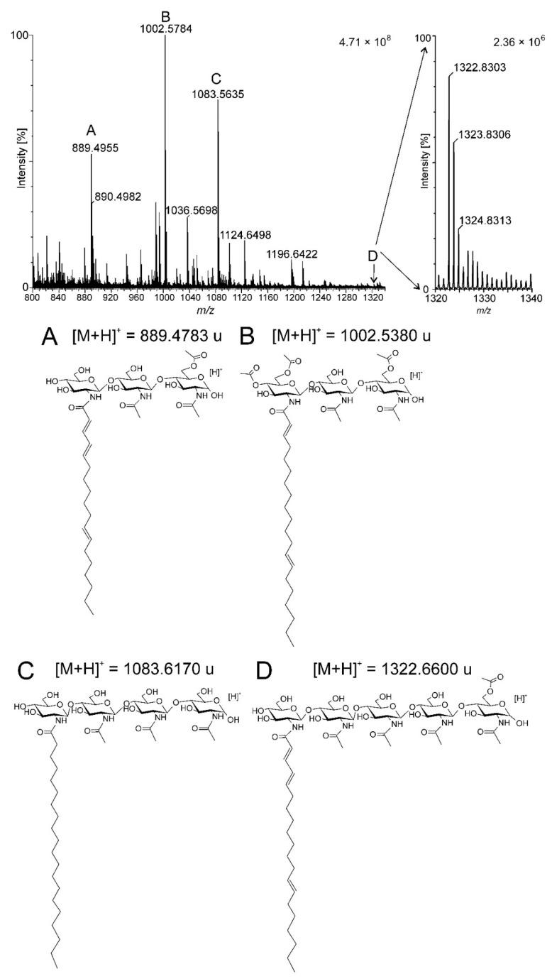 https://cdn.ncbi.nlm.nih.gov/pmc/blobs/6775/8657664/ff493cf54fdd/ijms-22-12991-g001.jpg