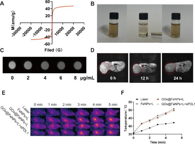 https://cdn.ncbi.nlm.nih.gov/pmc/blobs/6777/11484360/164bf096bf83/12951_2024_2909_Fig6_HTML.jpg