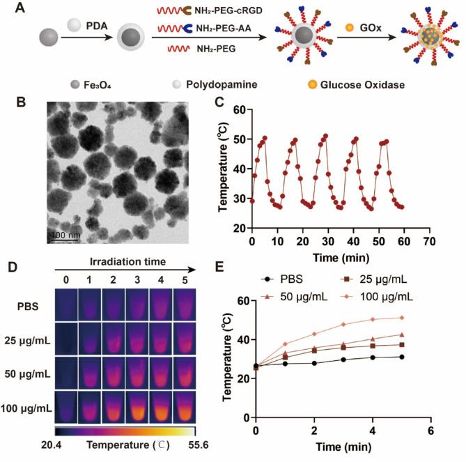 https://cdn.ncbi.nlm.nih.gov/pmc/blobs/6777/11484360/57aa19c7439f/12951_2024_2909_Fig2_HTML.jpg
