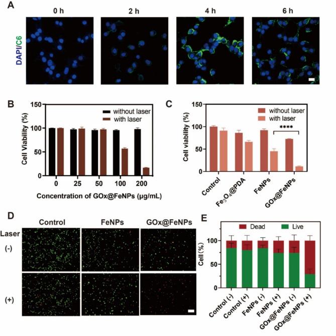 https://cdn.ncbi.nlm.nih.gov/pmc/blobs/6777/11484360/86b354949950/12951_2024_2909_Fig3_HTML.jpg