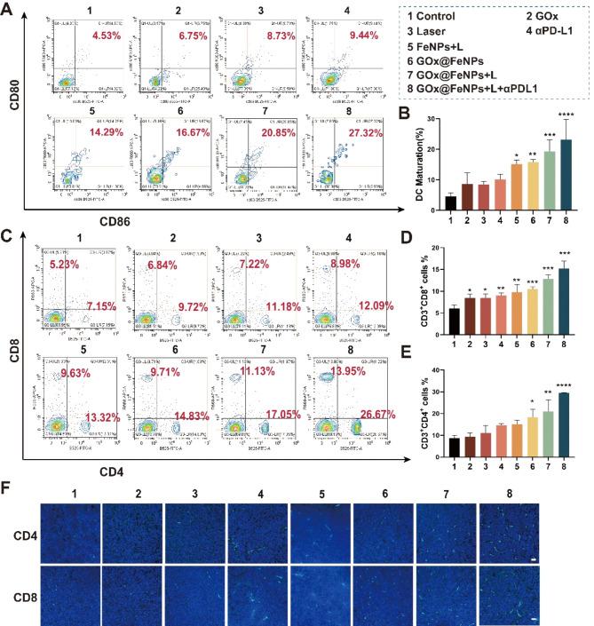 https://cdn.ncbi.nlm.nih.gov/pmc/blobs/6777/11484360/888a00941249/12951_2024_2909_Fig8_HTML.jpg
