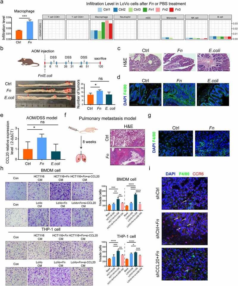https://cdn.ncbi.nlm.nih.gov/pmc/blobs/6777/8510564/1fdf34f11703/KGMI_A_1980347_F0003_OC.jpg
