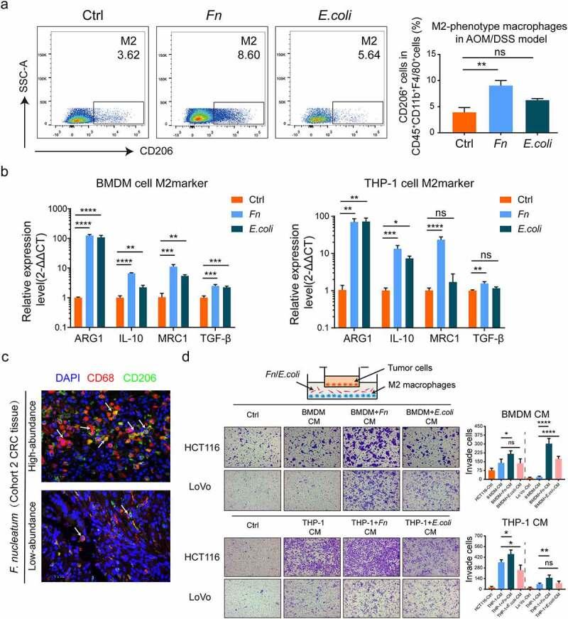 https://cdn.ncbi.nlm.nih.gov/pmc/blobs/6777/8510564/56cd029e7bb6/KGMI_A_1980347_F0004_OC.jpg